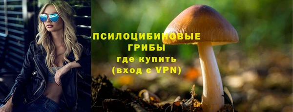 тгк Горнозаводск