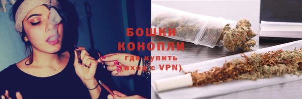 тгк Горнозаводск