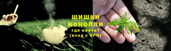 тгк Горнозаводск