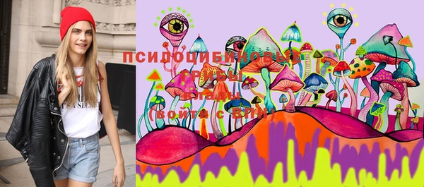 mix Горняк