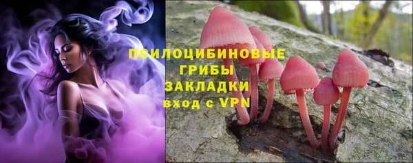 тгк Горнозаводск
