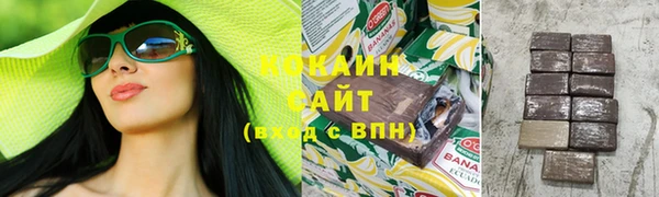 тгк Горнозаводск